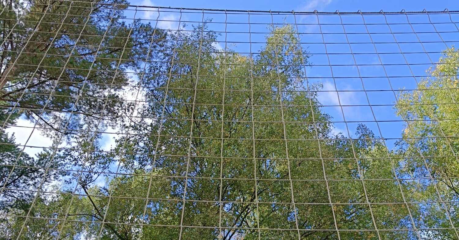 Монтаж спортивной заградительной сетки на открытой площадке компанией Instalsport Монтаж спортивной заградительной сетки на открытой площадке
